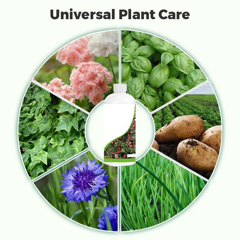 Revitalizing solution for orchards and greenhouses