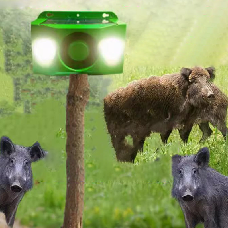 Alarme sonore répulsive à énergie solaire pour animaux avec lumières clignotantes brillantes