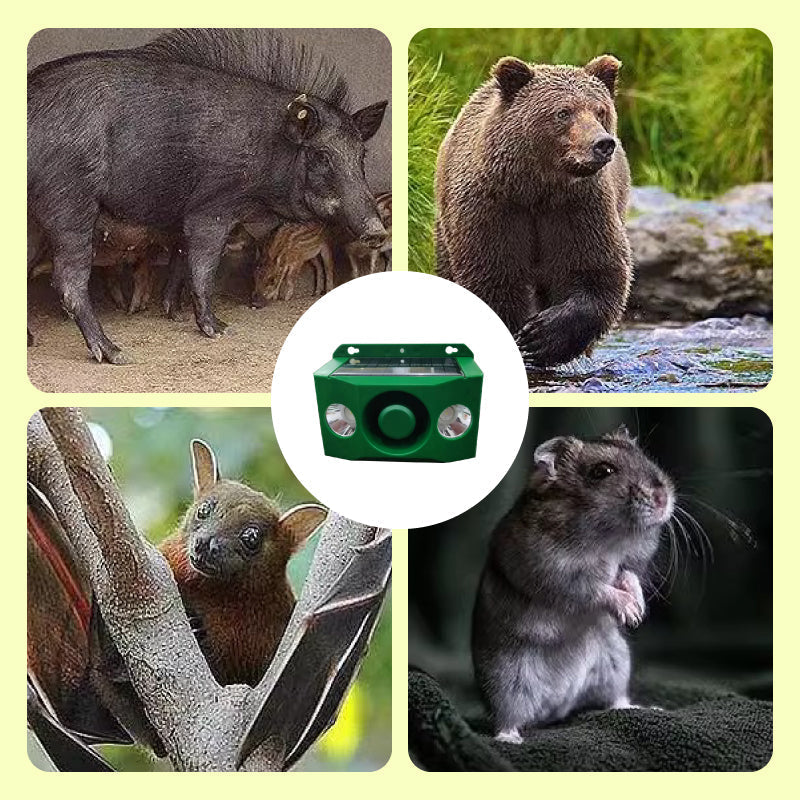 Alarme sonore répulsive à énergie solaire pour animaux avec lumières clignotantes brillantes