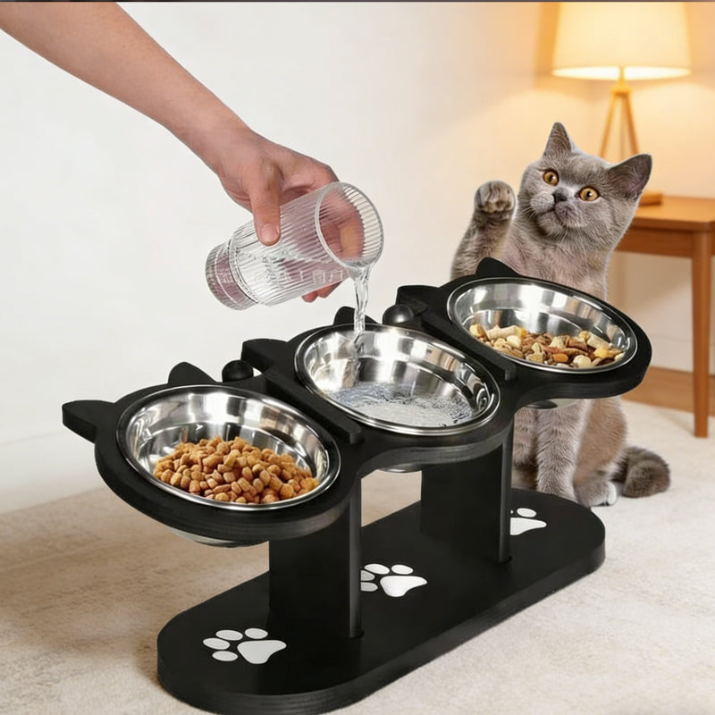 Elevated Non-Slip Pet Feeder with 3 Bowls | Spinal Protection with Non-Slip Base