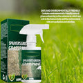 50% de réduction sur la peinture en spray Pousbo? Green Grass