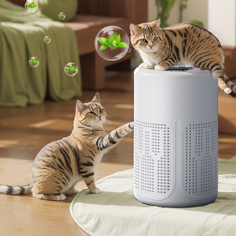 Home Air Purifier Filter and Aromatherapy Tablets Included