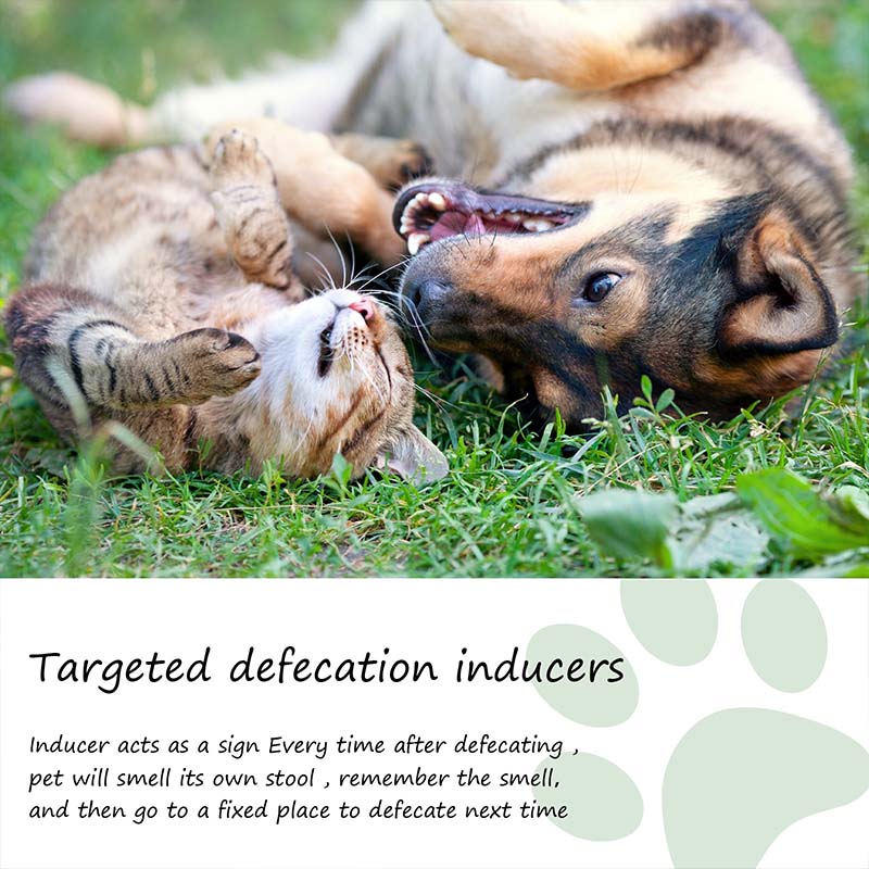 A spray that promotes defecation in pets