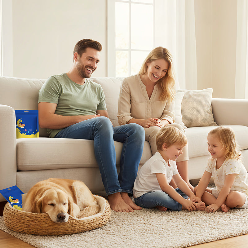 Aspirateur anti-acariens pour la maison