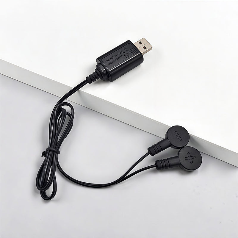 Magnetic charger for electric pistols