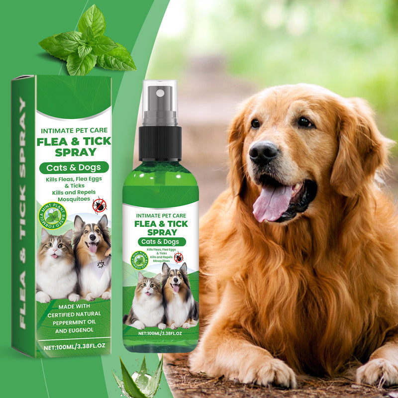 Natural Flea and Tick Spray for Dogs and Cats Protect your beloved pet from parasites