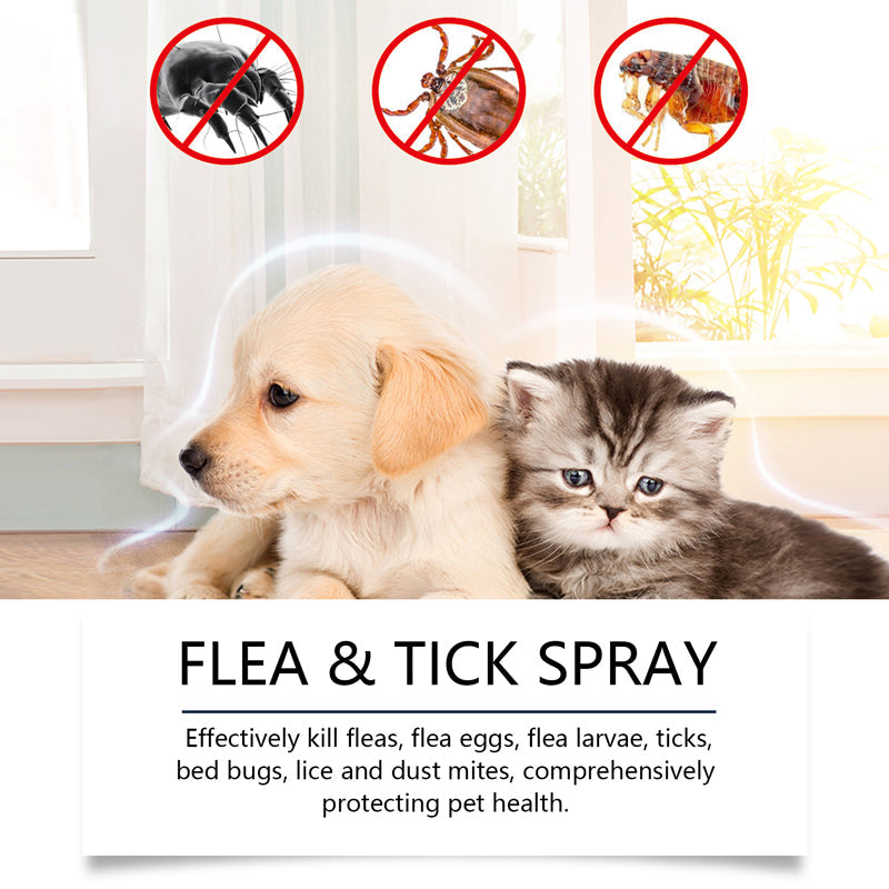 Natural Flea and Tick Spray for Dogs and Cats Protect your beloved pet from parasites