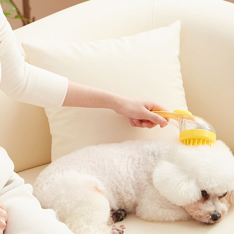 DE RDUCTION Brosse de bain pour animaux de compagnie avec long manche et distributeur de shampoing