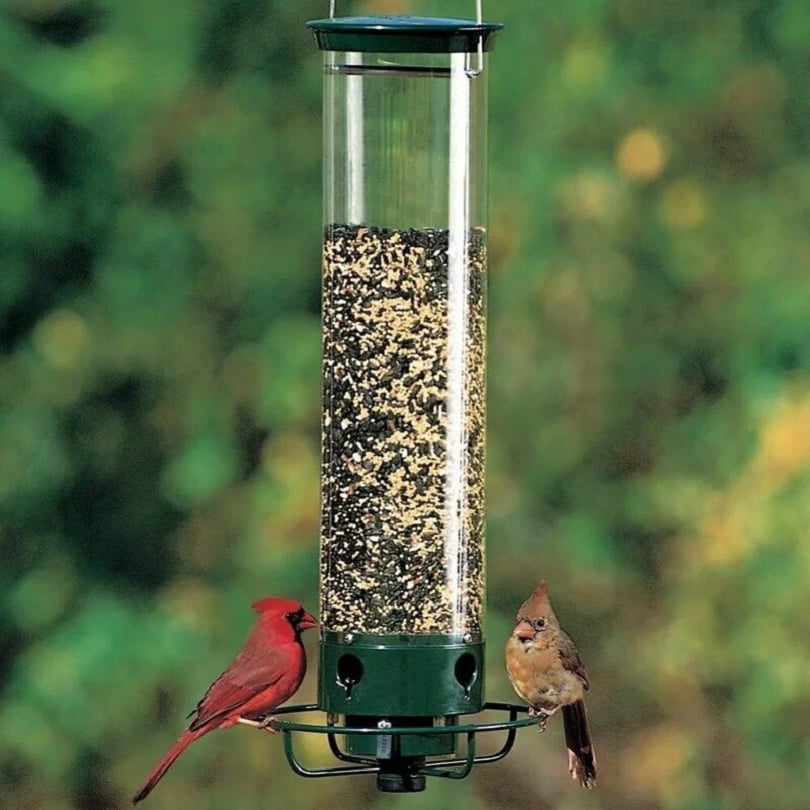 Nouvelle Mangeoire à oiseaux printemps 2026 100% anti-écureuil