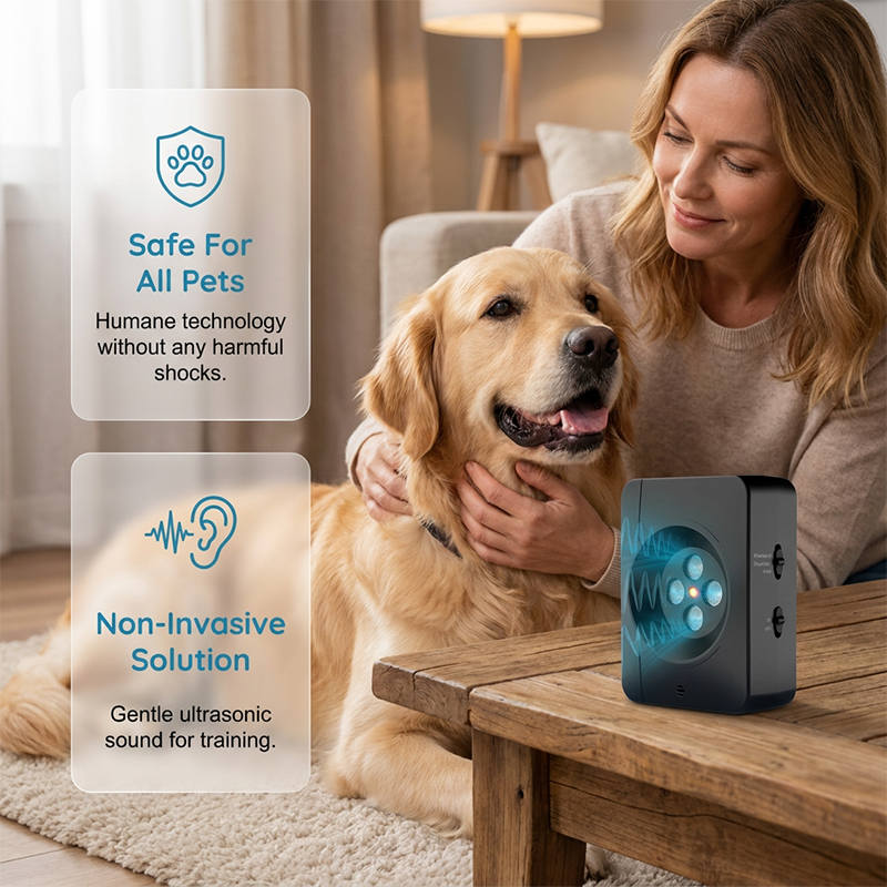Appareil anti-aboiement à ultrasons pour chiens