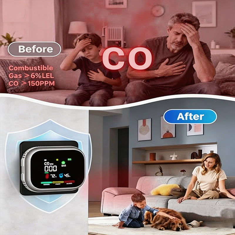 Portable multi-gas detector with LCD display and backup battery