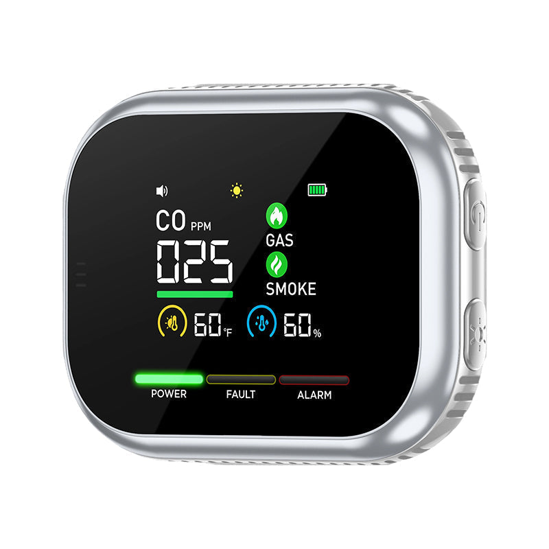 Portable multi-gas detector with LCD display and backup battery