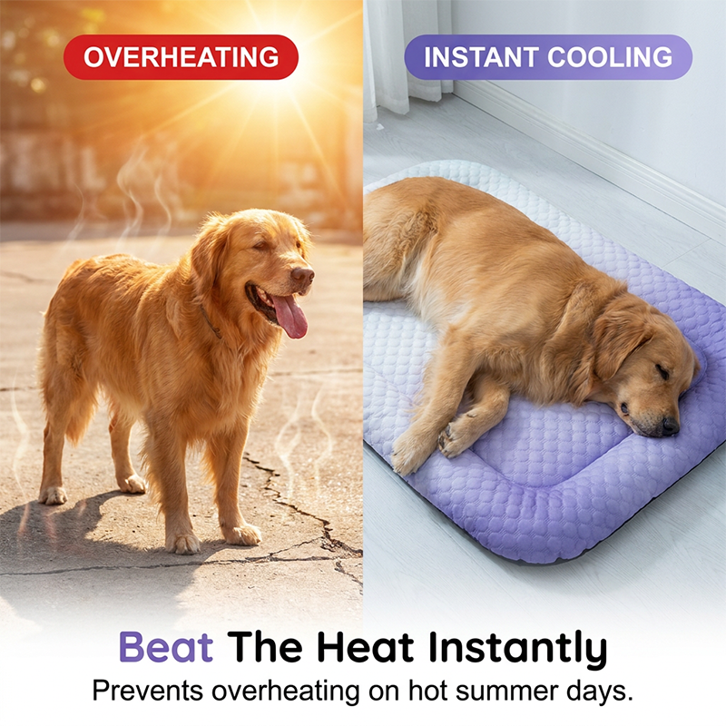 Tapis rafraîchissant pour chiens et chats - Coussin de couchage en soie glacée pour l'été aux couleurs dégradées, respirant et doux pour sols intérieurs, canapés et voyages en voiture, lavable, disponible en plusieurs tailles