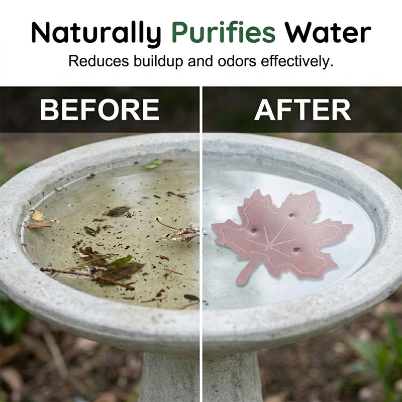 Purificateur universel pour bain d'oiseaux en forme de feuille d'érable