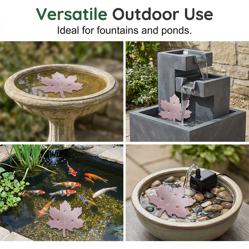 Purificateur universel pour bain d'oiseaux en forme de feuille d'érable
