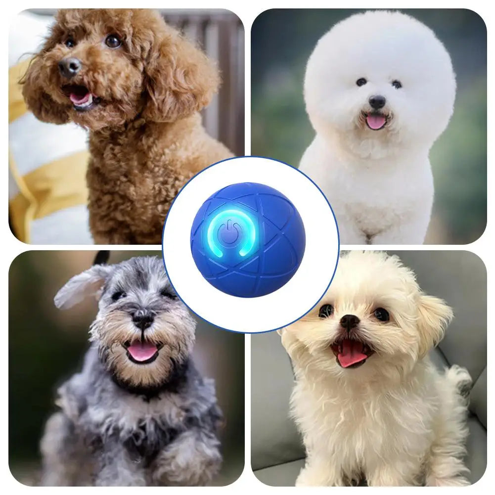 VENTE CHAUDE 2026 + 50 000 VENDUS -50 % DE RÉDUCTION Balle Interactive Intelligente Rebondissante pour Animaux de Compagnie