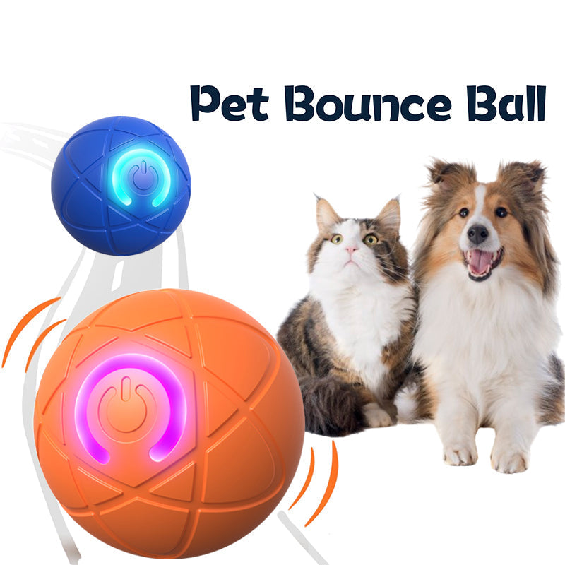 VENTE CHAUDE 2026 + 50 000 VENDUS -50 % DE RÉDUCTION Balle Interactive Intelligente Rebondissante pour Animaux de Compagnie