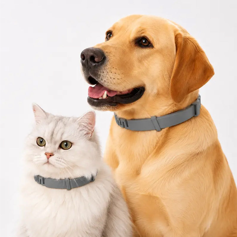 Adjustable Flea and Tick Collars for Dogs and Cats