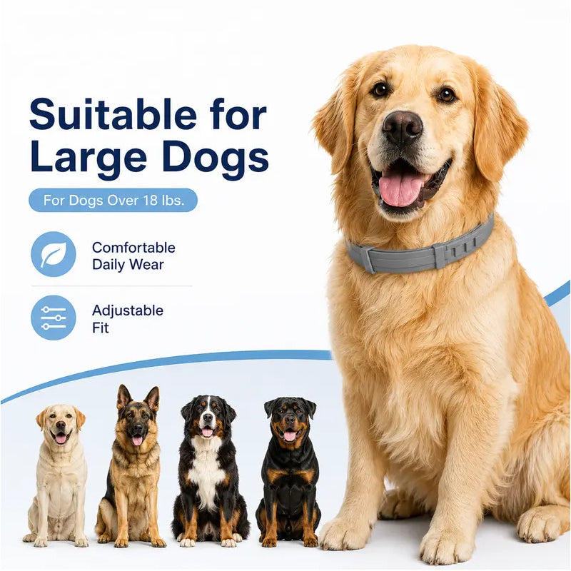 Adjustable Flea and Tick Collars for Dogs and Cats