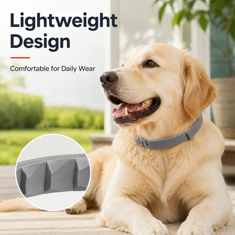 Adjustable Flea and Tick Collars for Dogs and Cats