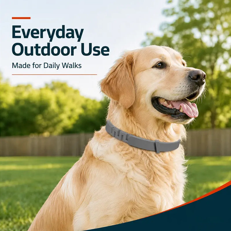 Adjustable Flea and Tick Collars for Dogs and Cats