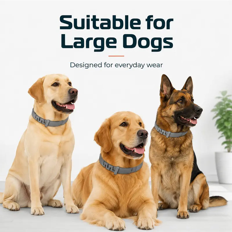 Adjustable Flea and Tick Collars for Dogs and Cats