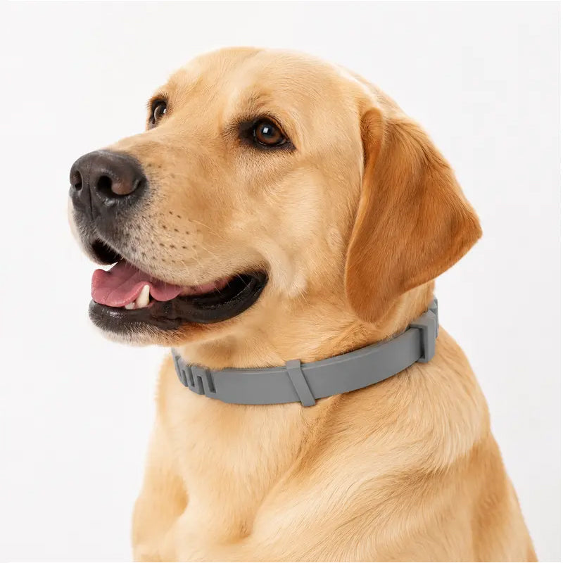 Adjustable Flea and Tick Collars for Dogs and Cats