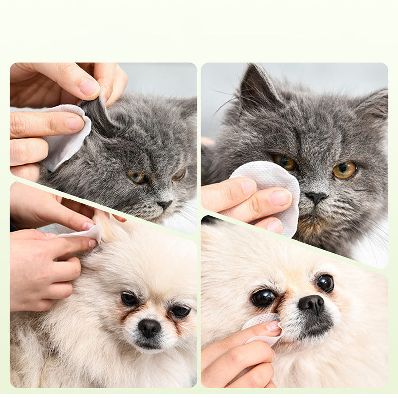 1 acheté 1 offert Lingettes nettoyantes yeux et oreilles à base de plantes, sans parfum, nettoient en douceur les yeux et les oreilles de votre compagnon à quatre pattes