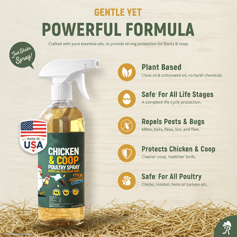 50% OFF Natural Chicken Coop Cleaning Spray Helps eliminate dirt, grime, and odors | Easy to use and great for chicken coops