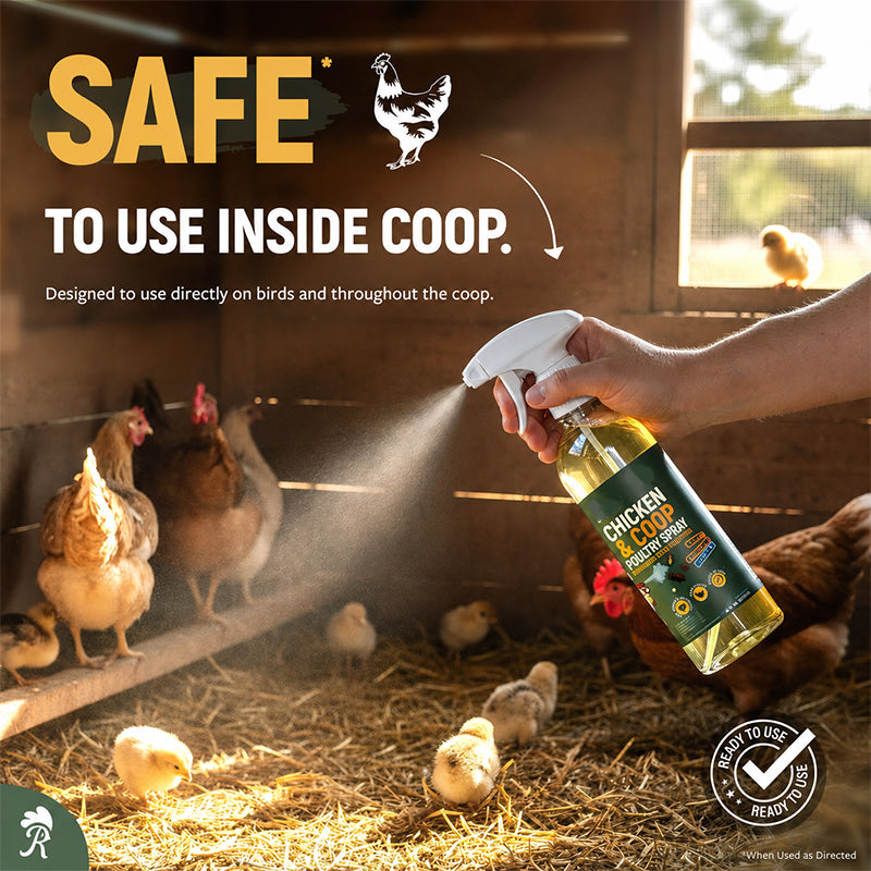 50% OFF Natural Chicken Coop Cleaning Spray Helps eliminate dirt, grime, and odors | Easy to use and great for chicken coops