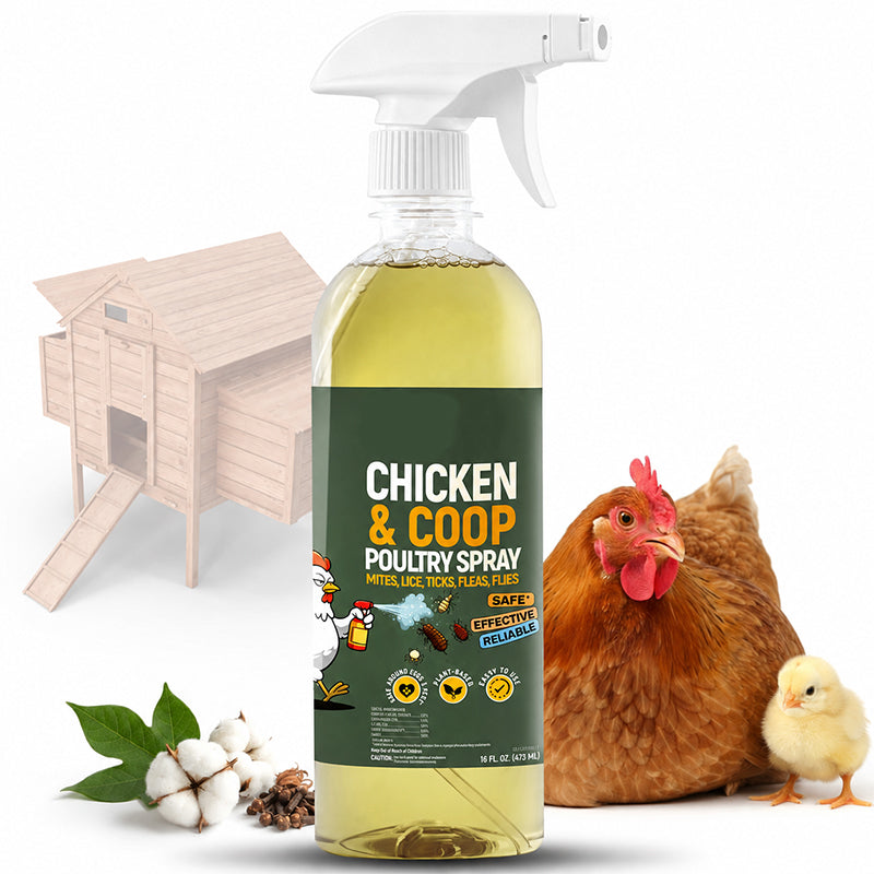 50% OFF Natural Chicken Coop Cleaning Spray Helps eliminate dirt, grime, and odors | Easy to use and great for chicken coops